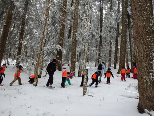 Les enfants slaloment entre les arbres, raquettes à neige au pied